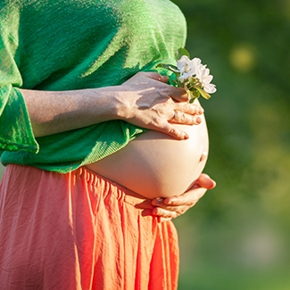 Usage in Pregnancy and Lactation